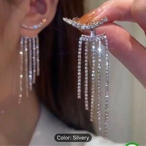 Glam earrings / silver / dangling